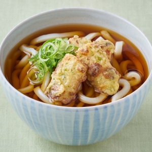 プチ竹輪磯辺天うどん