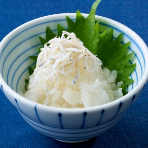 しらすおろし　塩ポン酢かけ